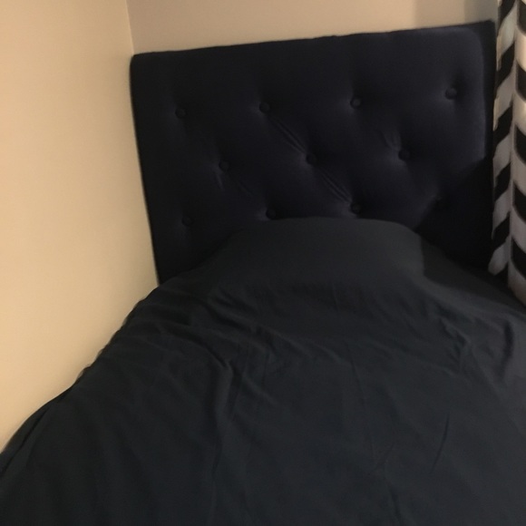 Meet your Posher, Amy - Picture 2 of 6